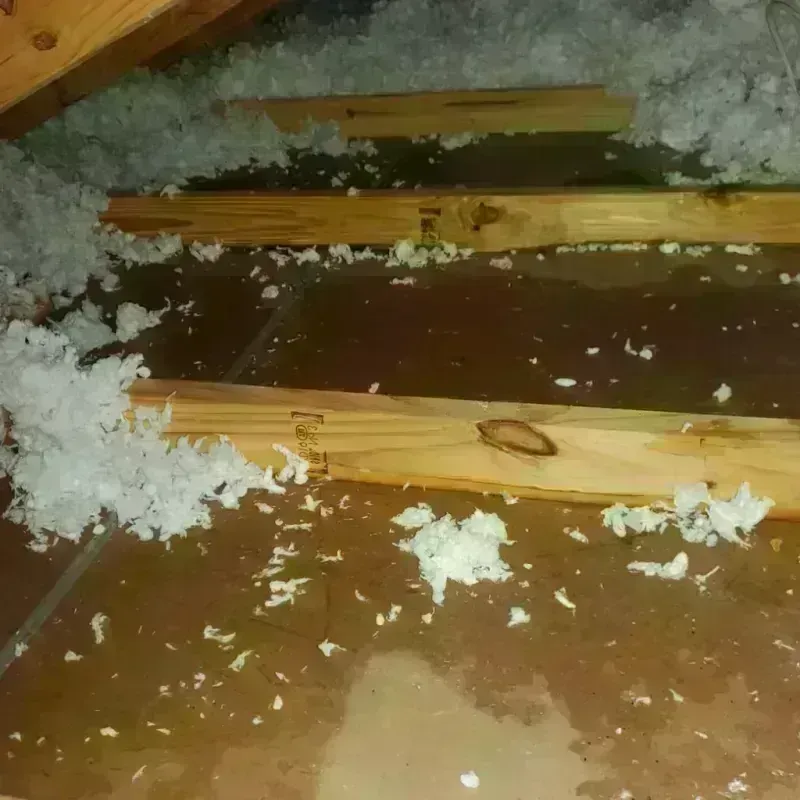 Attic Water Damage in Vashon, WA